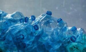 La plastica è un materiale altamente persistente nell'ambiente e può richiedere centinaia di anni per degradarsi